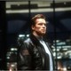 photo de Arnold Schwarzenegger