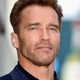 Voir les photos de Arnold Schwarzenegger sur bdfci.info