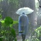 photo du film A la verticale de l'été