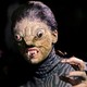 photo du film La Femme reptile