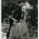 photo du film Rashomon