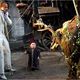 photo de Heath Ledger