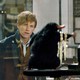 photo du film Les Animaux fantastiques
