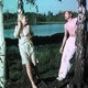photo du film Le Bois de bouleaux