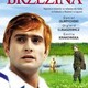 photo du film Le Bois de bouleaux