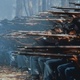 photo du film Glory