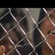 photo du film Police frontière