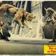 photo du film Sinbad et l'oeil du tigre