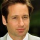Voir les photos de David Duchovny sur bdfci.info