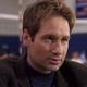 Voir les photos de David Duchovny sur bdfci.info