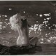 photo de Marilyn Monroe
