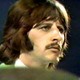 Voir les photos de Ringo Starr sur bdfci.info