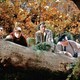 photo du film Mais qui a tué Harry ?