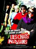 Les Chats Persans
