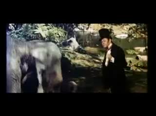 Un extrait du film  L Extravagant docteur Dolittle