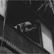 photo du film Confidentiel - Le marché sexuel des filles