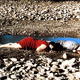 photo du film Carmin profond