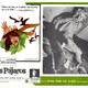 photo du film Les Oiseaux