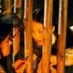 photo du film Le Chant de la fidele Chunhyang