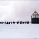 photo du film Terre Neuve