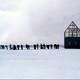photo du film Terre Neuve