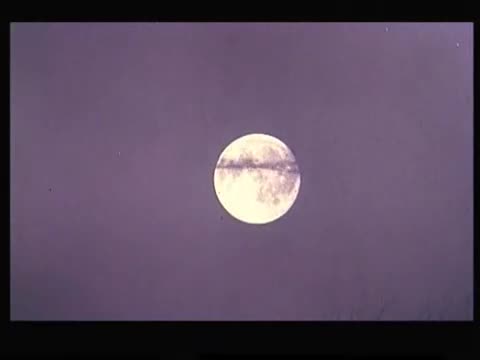 Un extrait du film  Le Loup-garou de Londres