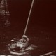 photo du film L'Hirondelle et la Mésange