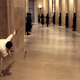 photo du film Equilibrium