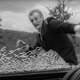 photo du film La Nuit des morts-vivants
