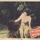 photo du film Jim la jungle dans l'antre des gorilles