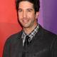 Voir les photos de David Schwimmer sur bdfci.info