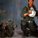 photo du film Les Chiens de guerre
