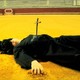 photo du film Jeu de rôles