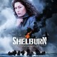 photo du film Le Réseau Shelburn