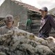 photo du film Volta à terra