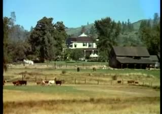 Extrait vidéo du film  L Autre