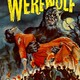photo du film La Nuit du loup-garou