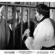 photo du film La Nuit du loup-garou