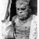 photo du film La Nuit du loup-garou