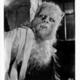 photo du film La Nuit du loup-garou