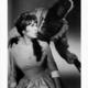 photo du film La Nuit du loup-garou