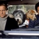 photo du film Hercule et Sherlock
