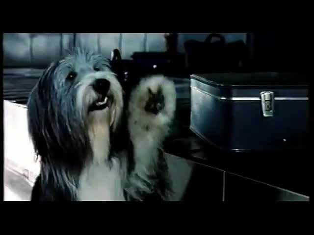 Extrait vidéo du film  Hercule et Sherlock