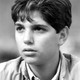 Voir les photos de Ralph Macchio sur bdfci.info