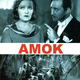 photo du film Amok