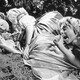 photo du film Le Songe d'une nuit d'été