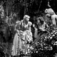 photo du film Le Songe d'une nuit d'été