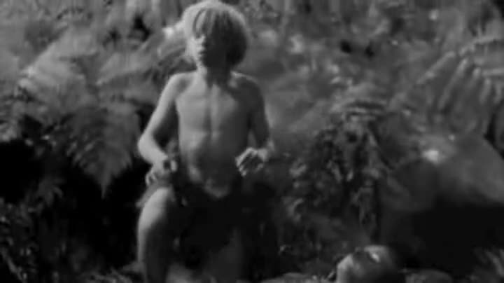 Un extrait du film  Le Songe d une nuit d été