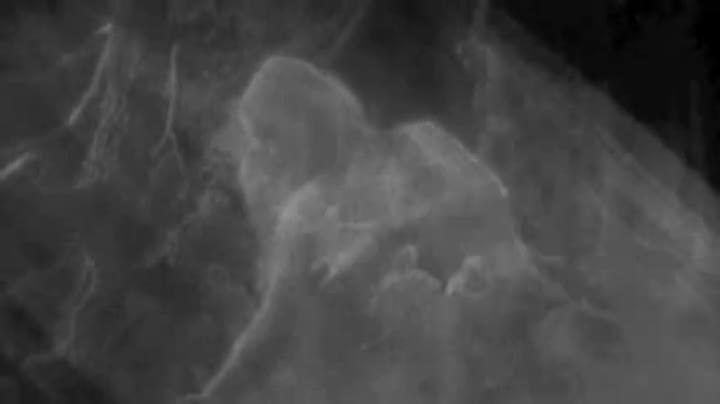 Un extrait du film  Le Songe d une nuit d été