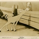 photo du film Symphonie d'une cour de ferme